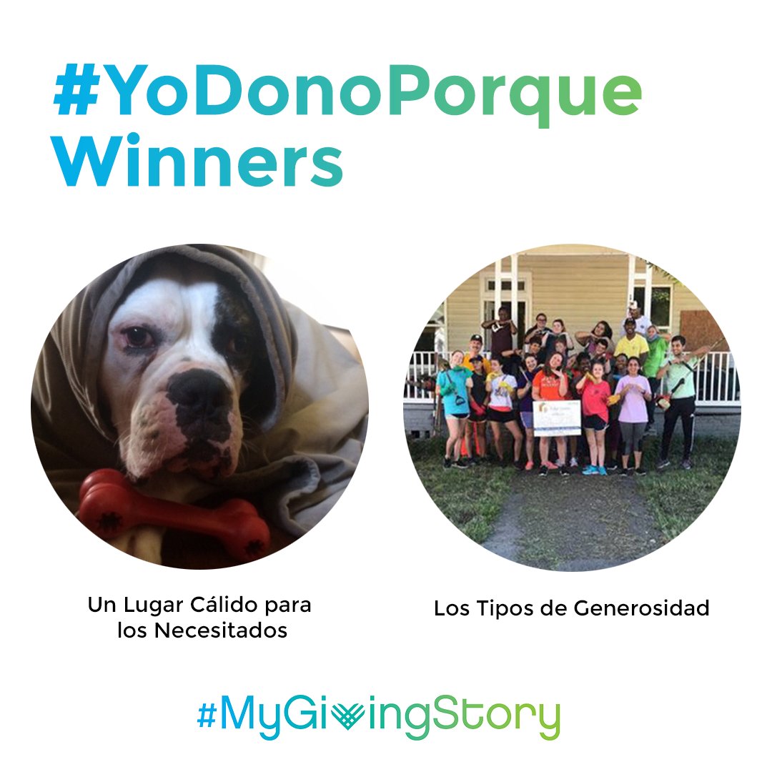 Instagram style image that shows #YoDonoPorque winning stories, including a dog in a blanket and a group of people volunteering, with a #MyGivingStory logo below.