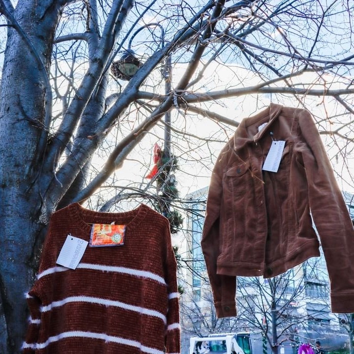 coats in a tree