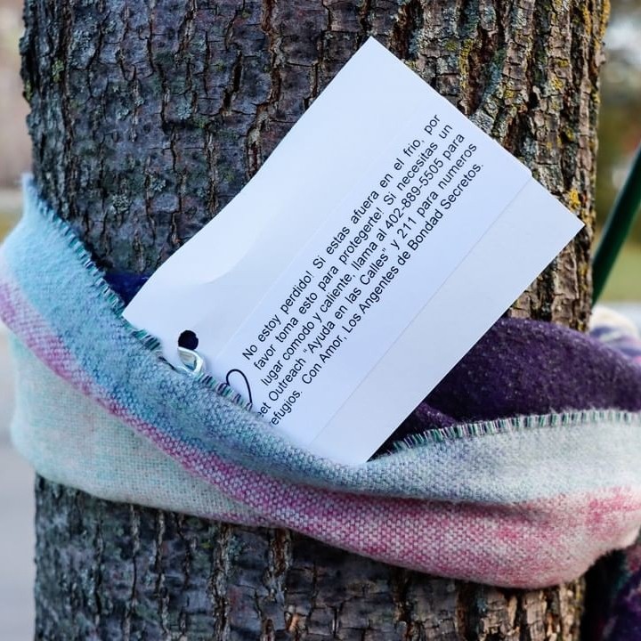 a scraf on a tree with a note in Spanish on it