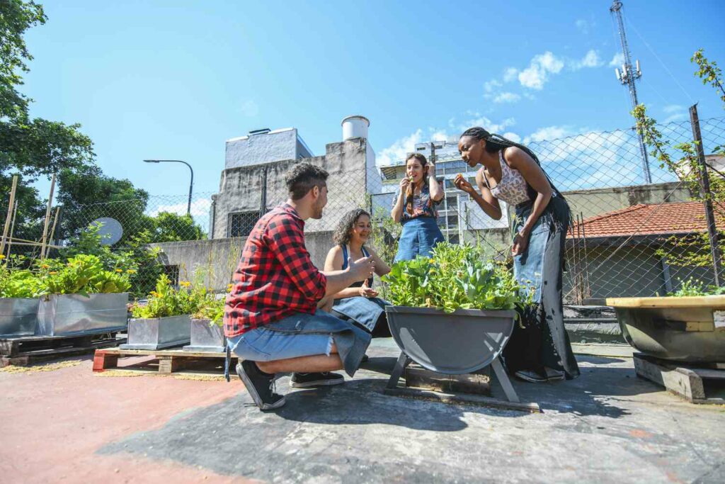 community garden in an urban area